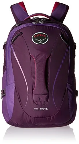 colorful suitcase for easy identification-Osprey Packs Celeste Daypack, Mariposa Purple