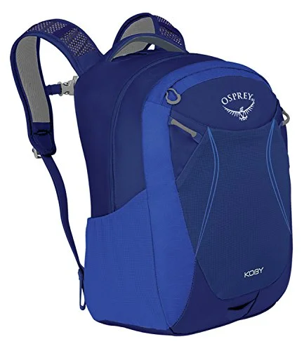 travel suitcase with large capacity-Osprey Packs Kid'S Koby Daypack, Hero Blue