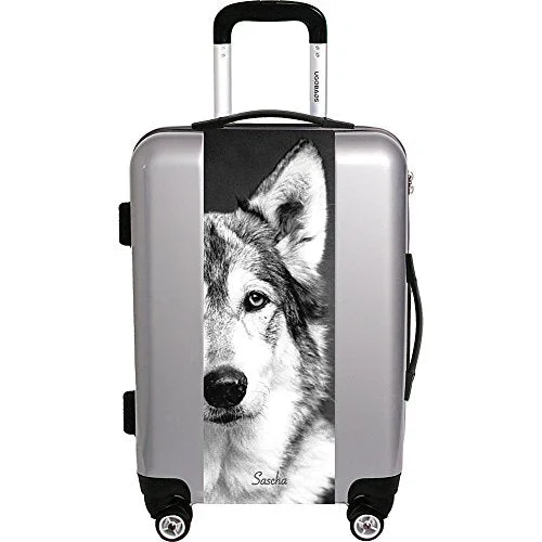 suitcase with lightweight yet sturdy frame-Ugo Bags Sascha By Compassion 22" Luggage (Silver)